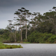 Gabon. WC